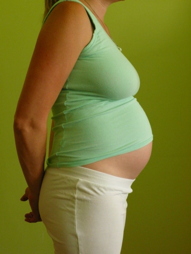 obrázek 27. týden těhotenství
