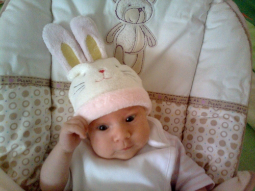 obrázek králíček :-)